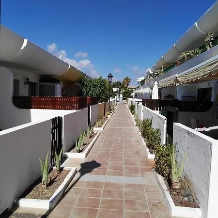 Sunny Dunasol